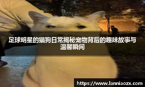 BB贝博艾弗森官方网站